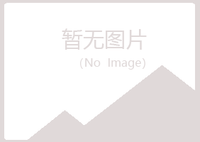 宁夏如松律师有限公司